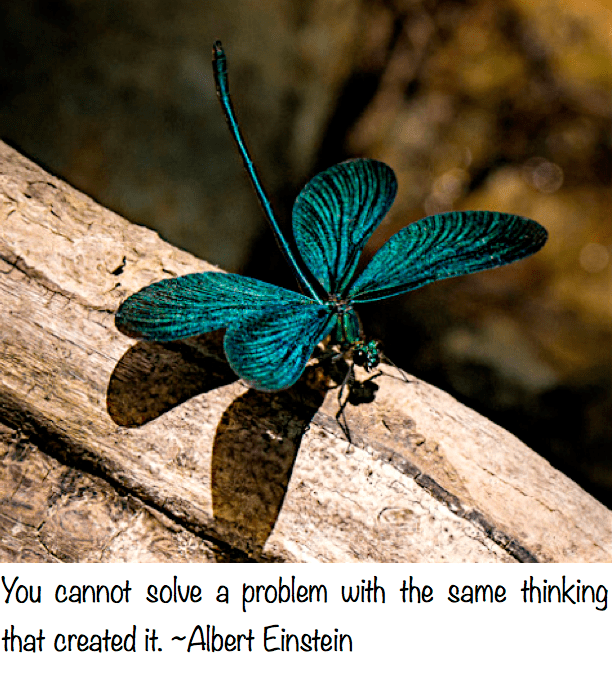 Screen Shot 2017-06-14 at 10.18.22 PM.png