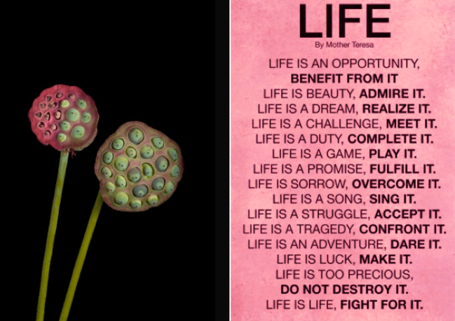 Screen Shot 2017-06-14 at 10.26.30 PM.png