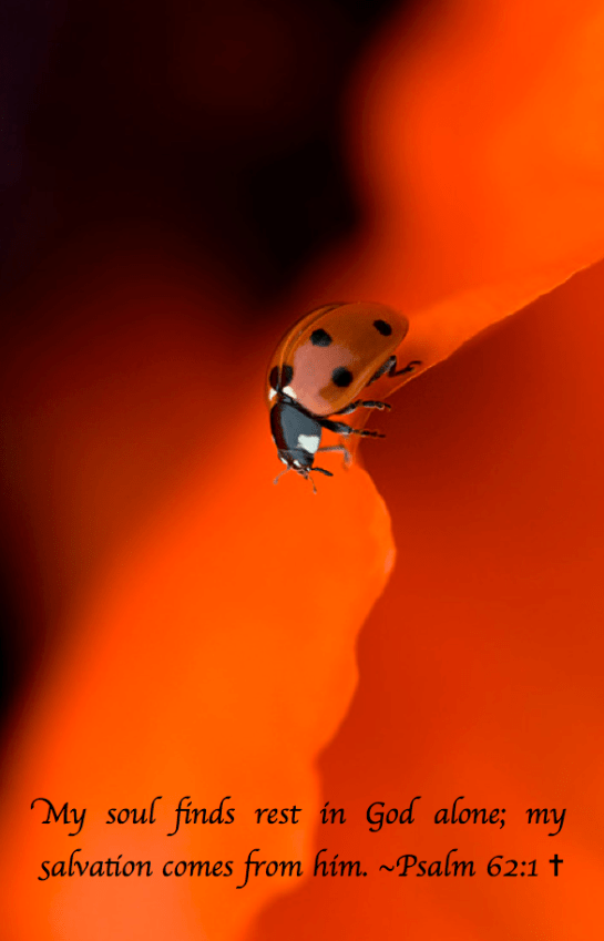 Screen Shot 2017-06-14 at 9.45.34 PM.png