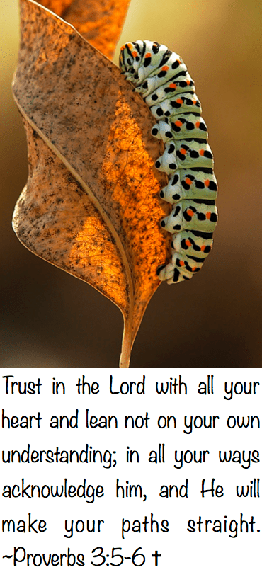 Screen Shot 2017-06-14 at 9.51.28 PM.png