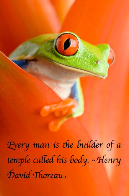 Screen Shot 2017-06-14 at 9.56.36 PM.png