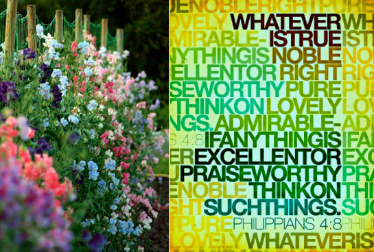 Screen Shot 2017-06-16 at 11.00.41 PM.png