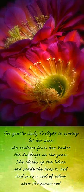 Screen Shot 2017-06-16 at 11.03.30 PM.png