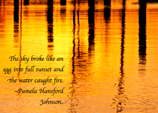 Screen Shot 2017-06-17 at 9.41.05 PM.png