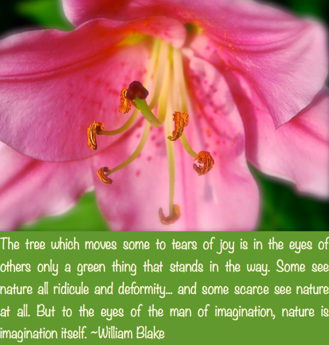 Screen Shot 2017-06-18 at 9.30.32 PM.png