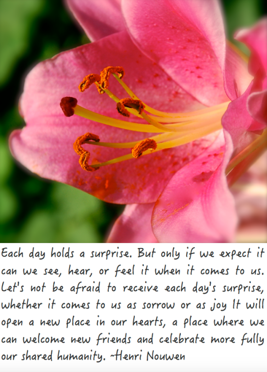 Screen Shot 2017-06-19 at 11.38.30 PM.png