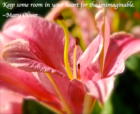 Screen Shot 2017-06-19 at 11.41.12 PM.png