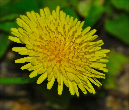 Screen Shot 2017-06-21 at 10.31.17 PM.png