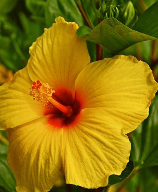 Screen Shot 2017-06-21 at 10.37.30 PM.png