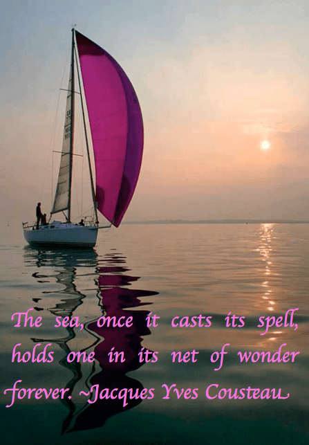 Screen Shot 2017-06-21 at 12.17.37 AM.png