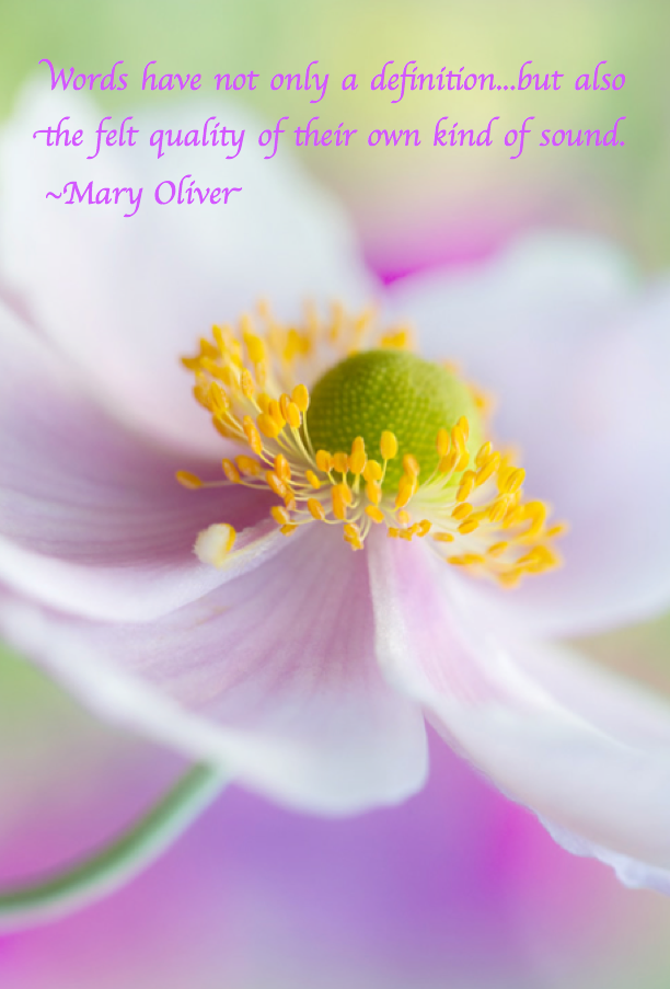 Screen Shot 2017-06-21 at 12.24.34 AM.png