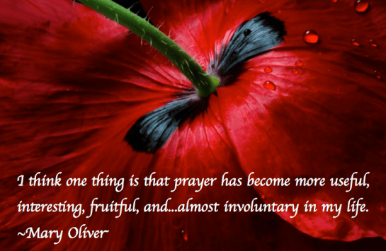 Screen Shot 2017-06-21 at 12.26.31 AM.png