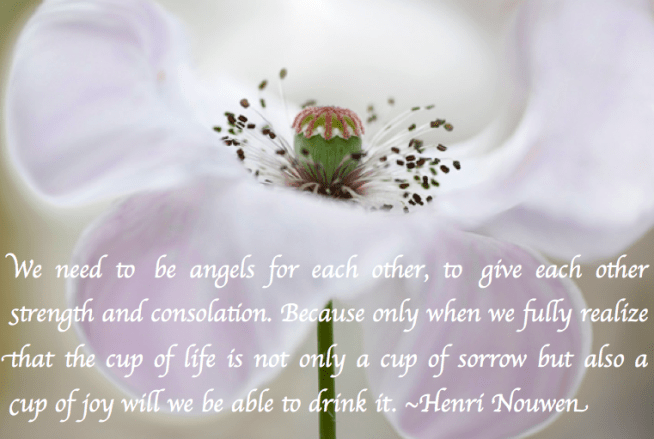 Screen Shot 2017-06-21 at 12.29.48 AM.png