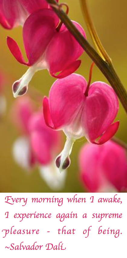 Screen Shot 2017-06-22 at 11.28.08 PM.png