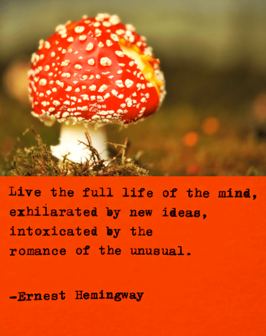 Screen Shot 2017-06-23 at 11.05.04 PM.png