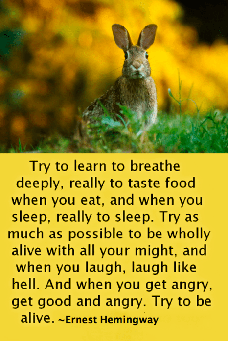 Screen Shot 2017-06-23 at 11.12.57 PM.png