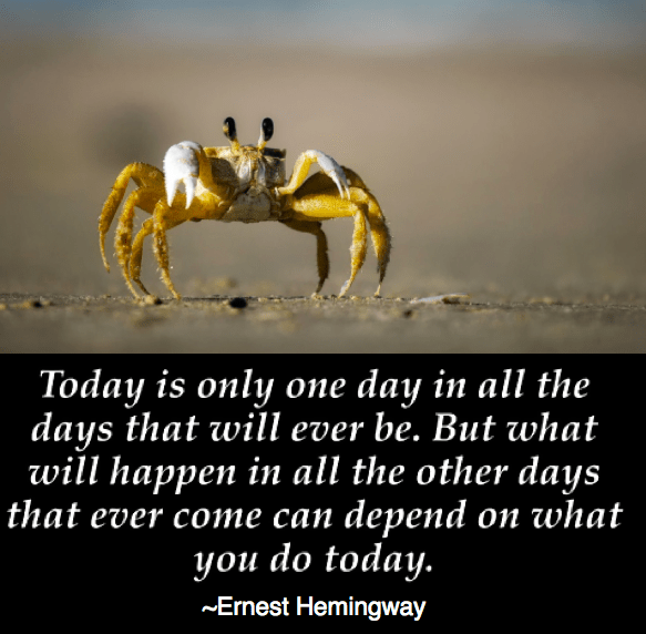 Screen Shot 2017-06-23 at 11.15.19 PM.png