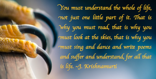 Screen Shot 2017-06-24 at 11.29.30 PM.png