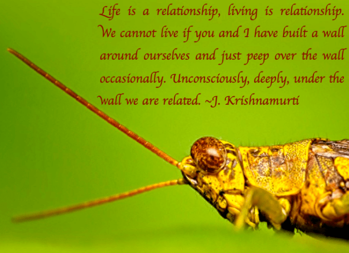 Screen Shot 2017-06-24 at 11.47.04 PM.png