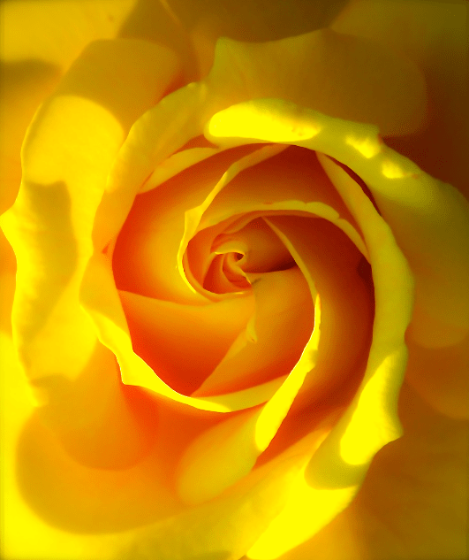 Screen Shot 2017-06-25 at 4.03.53 PM.png