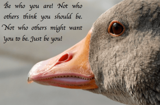 Screen Shot 2017-06-26 at 11.27.43 PM.png