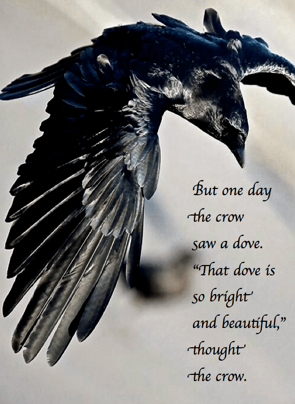 Screen Shot 2017-06-27 at 3.44.38 PM.png