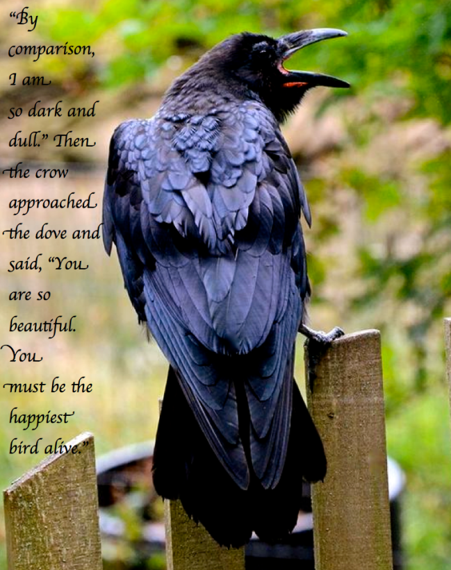 Screen Shot 2017-06-27 at 3.52.14 PM.png