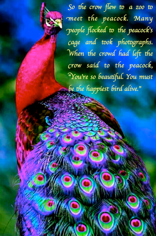 Screen Shot 2017-06-27 at 4.22.34 PM.png