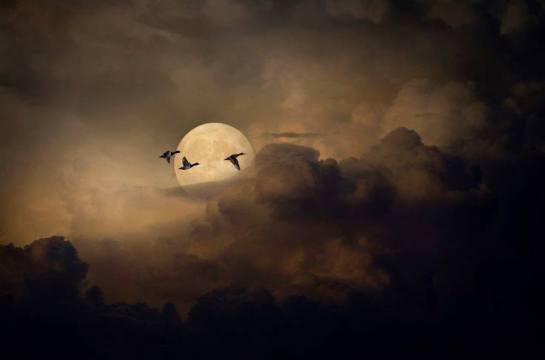 19430060_1454375747955703_892435769726989045_n