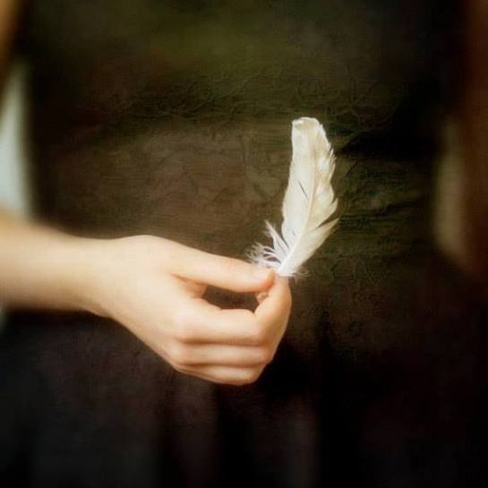 19748354_1467590356634242_8957083393671526275_n