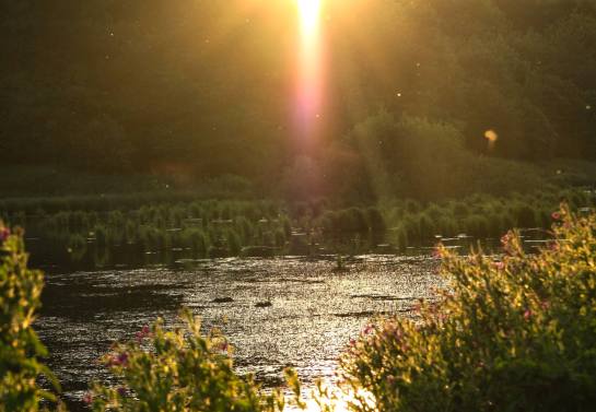 20287073_1789219277773108_1841380525609401193_o (1)