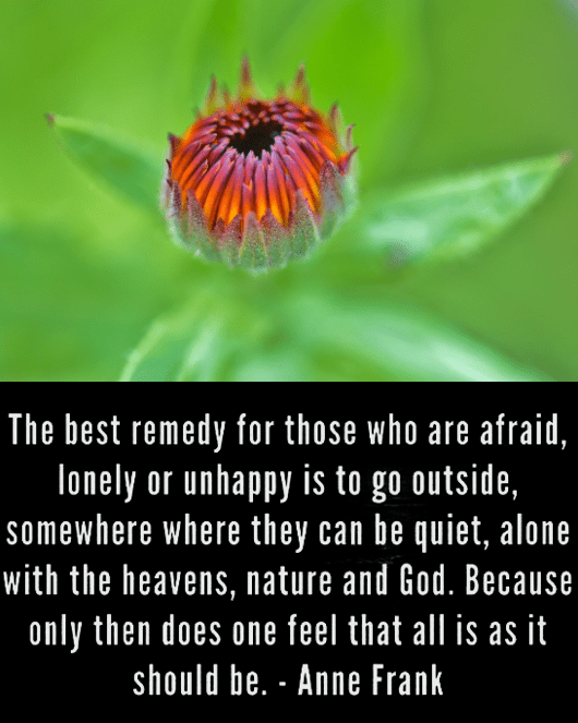 Screen Shot 2017-06-30 at 11.57.17 PM.png