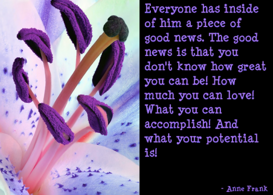 Screen Shot 2017-07-01 at 12.01.00 AM.png