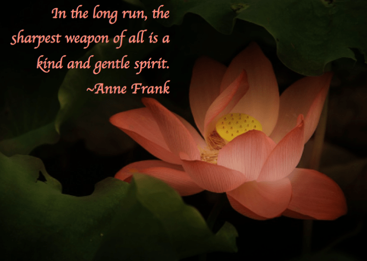 Screen Shot 2017-07-01 at 12.10.37 AM.png