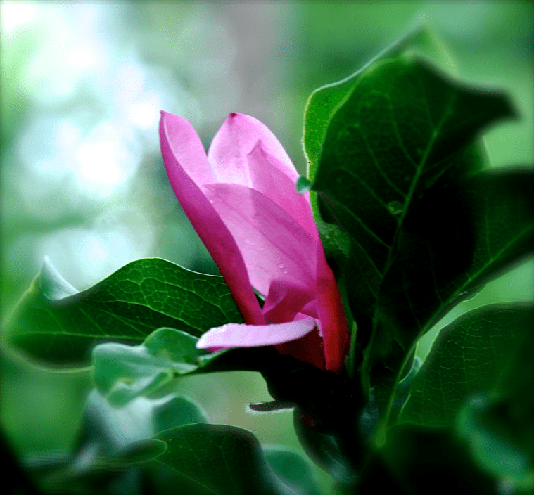 Screen Shot 2017-07-01 at 9.56.20 PM.png