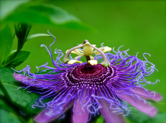 Screen Shot 2017-07-01 at 9.58.36 PM.png