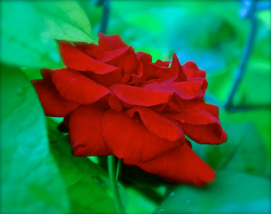 Screen Shot 2017-07-01 at 9.59.54 PM.png