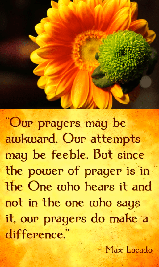 Screen Shot 2017-07-02 at 9.22.43 PM.png