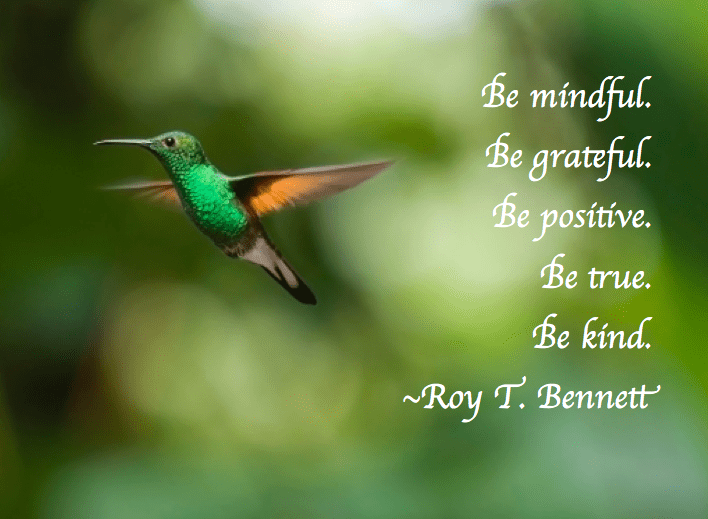 Screen Shot 2017-07-03 at 11.13.51 PM.png