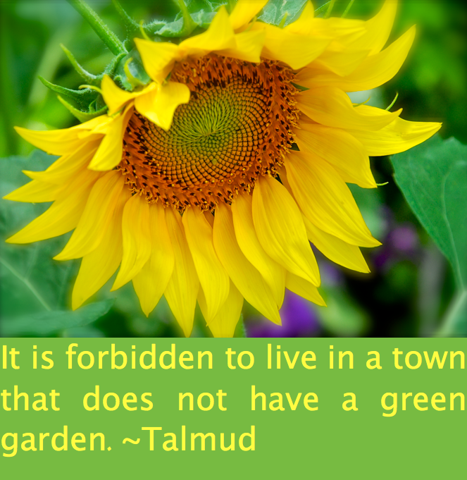 Screen Shot 2017-07-03 at 5.53.42 PM.png