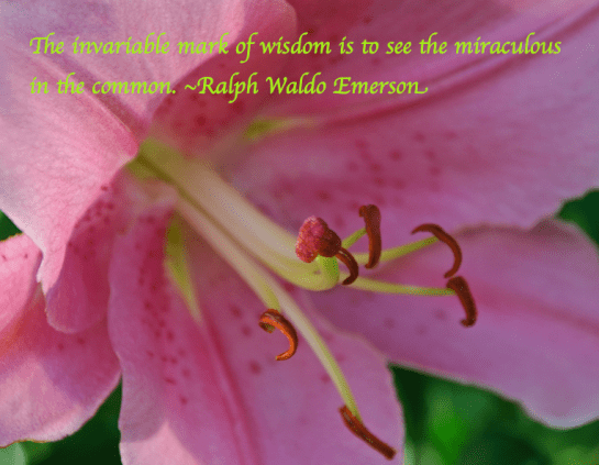 Screen Shot 2017-07-03 at 6.12.52 PM.png