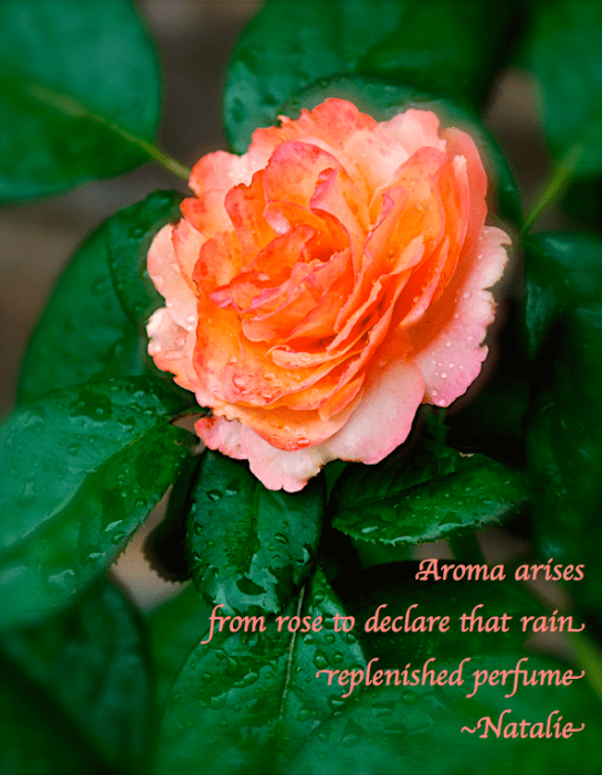 Screen Shot 2017-07-05 at 11.39.45 PM.png