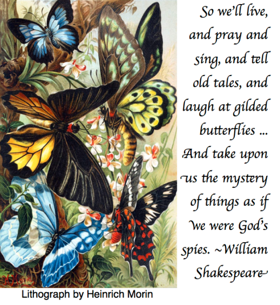 Screen Shot 2017-07-05 at 11.47.24 PM.png