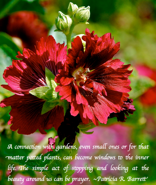 Screen Shot 2017-07-05 at 6.50.39 PM.png