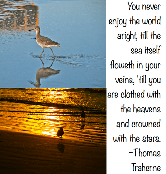 Screen Shot 2017-07-06 at 11.00.14 PM.png