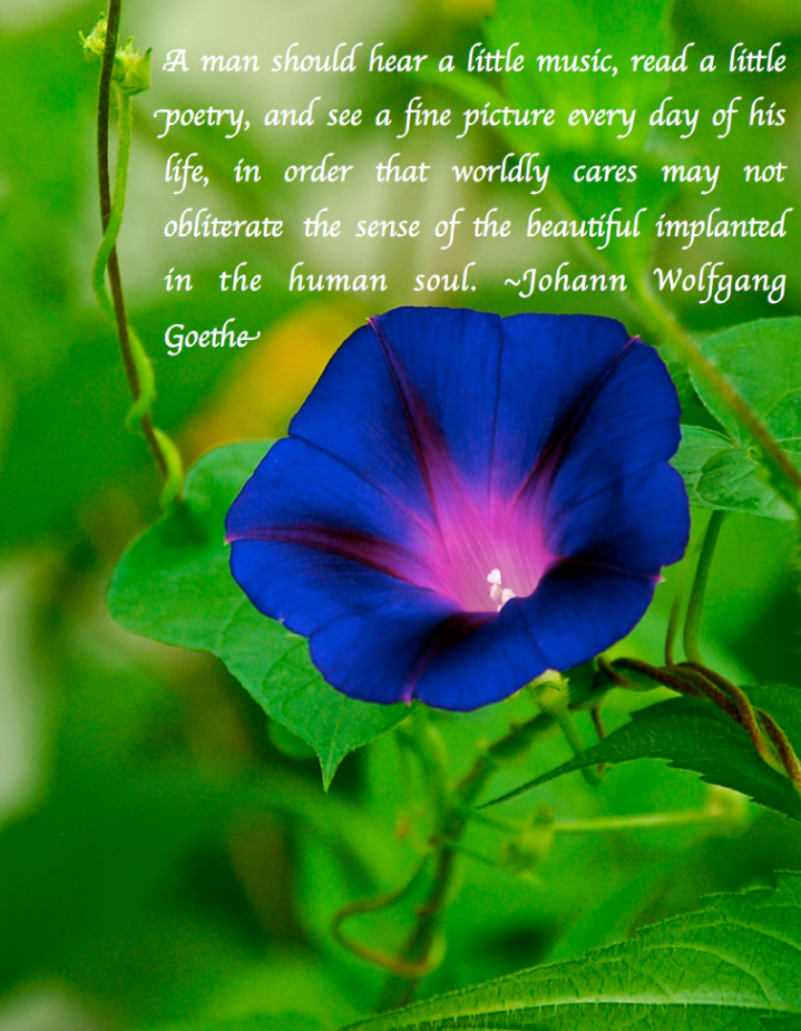 Screen Shot 2017-07-06 at 6.30.35 PM.png