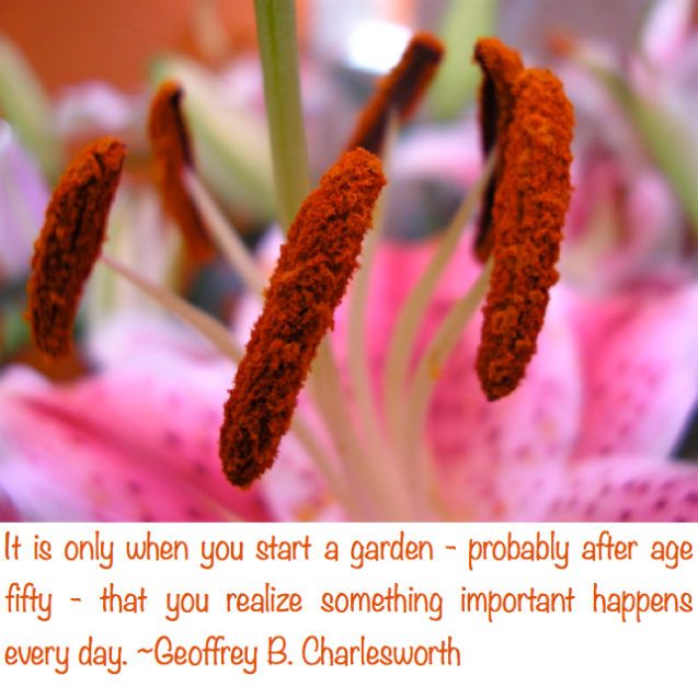 Screen Shot 2017-07-07 at 11.05.59 PM.png