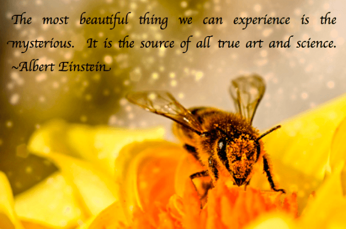 Screen Shot 2017-07-07 at 11.11.56 PM.png