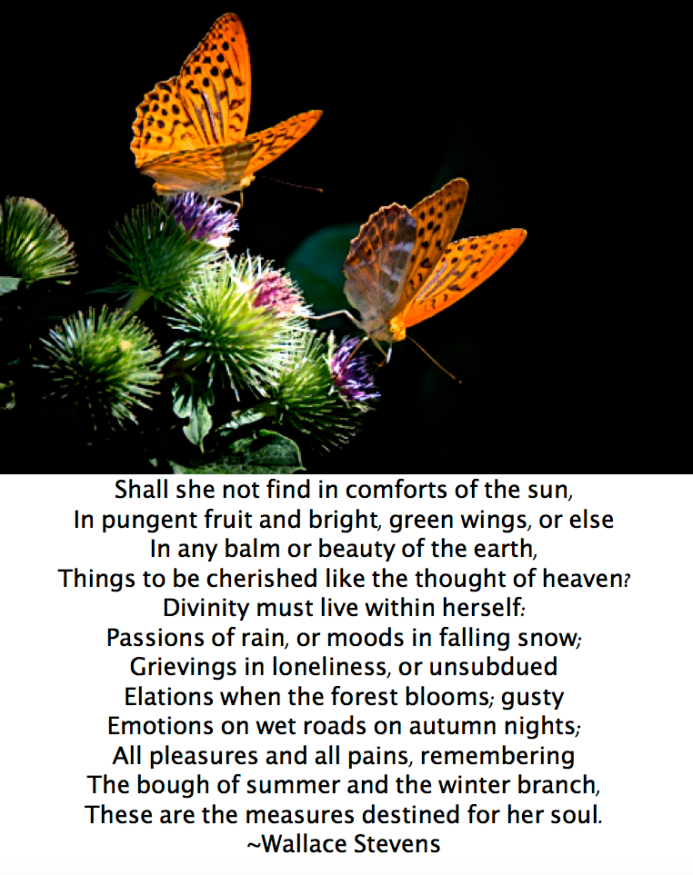 Screen Shot 2017-07-07 at 11.17.35 PM.png