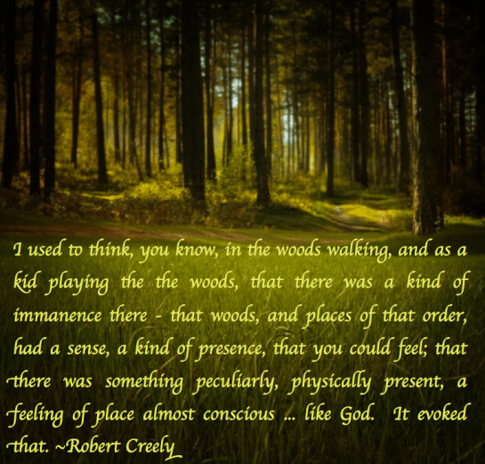 Screen Shot 2017-07-07 at 9.14.37 PM.png